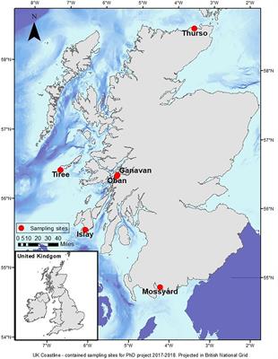 A New Collection Tool-Kit to Sample Microplastics From the Marine Environment (Sediment, Seawater, and Biota) Using Citizen Science